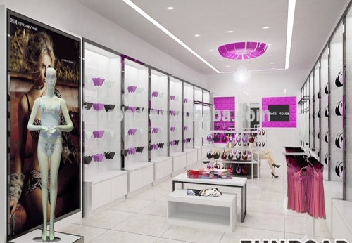 Modern underwear and clothing store interior design with manufacture